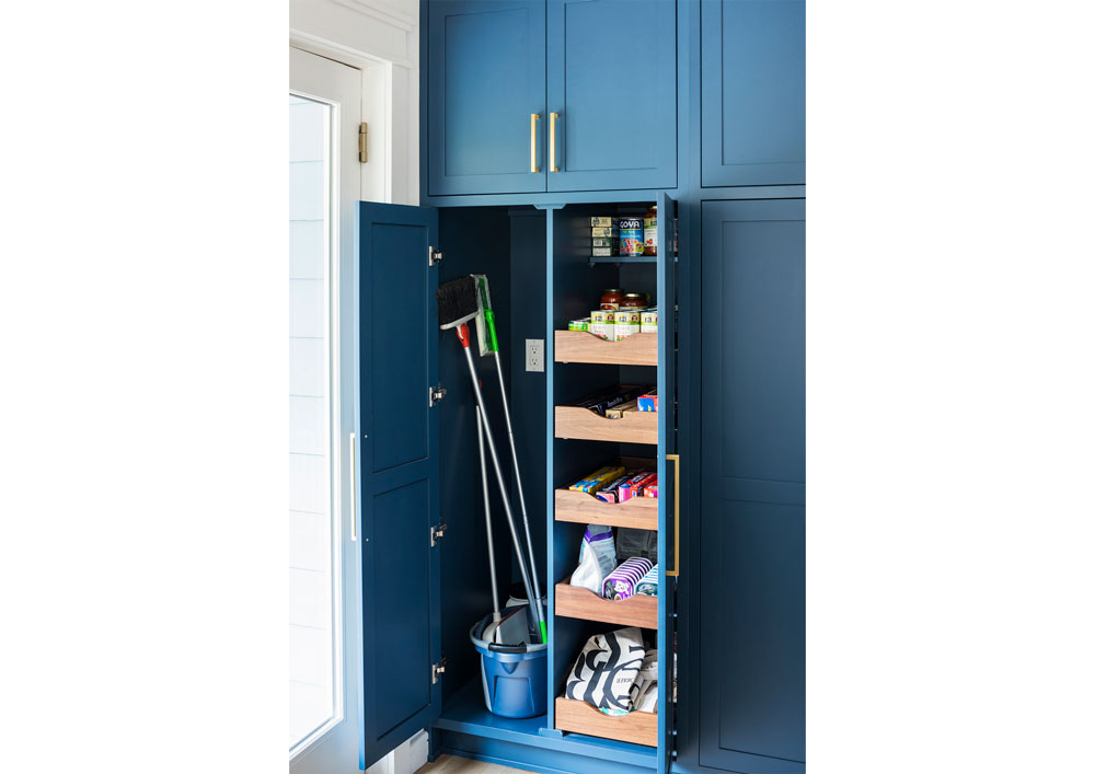blue cabinet with storage solutions inside