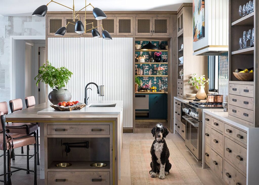 pet station in modern kitchen with dog