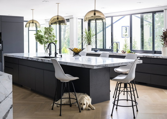 black and white modern kitchen with dog