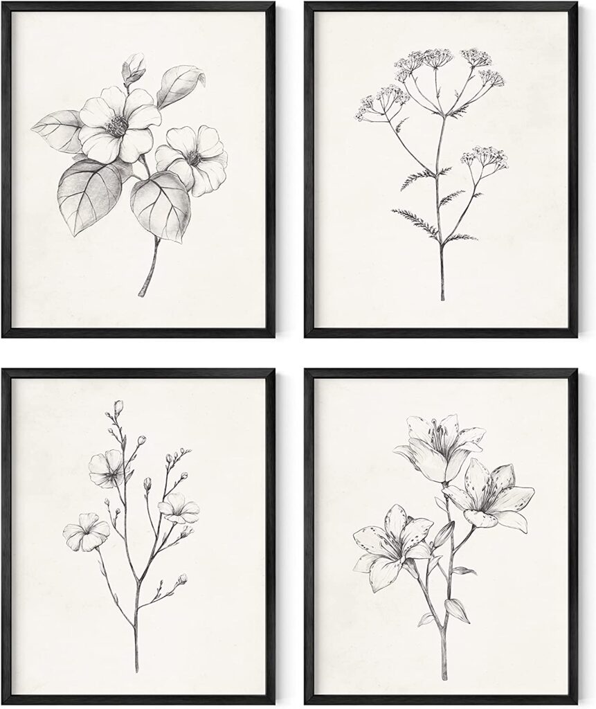black and white botanical prints framed