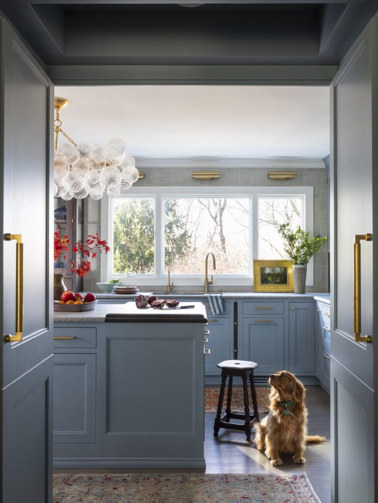light blue kitchen with dog sitting in it